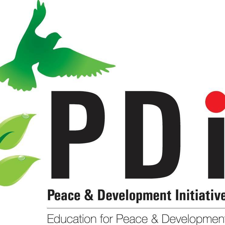 PDI Image.jpg