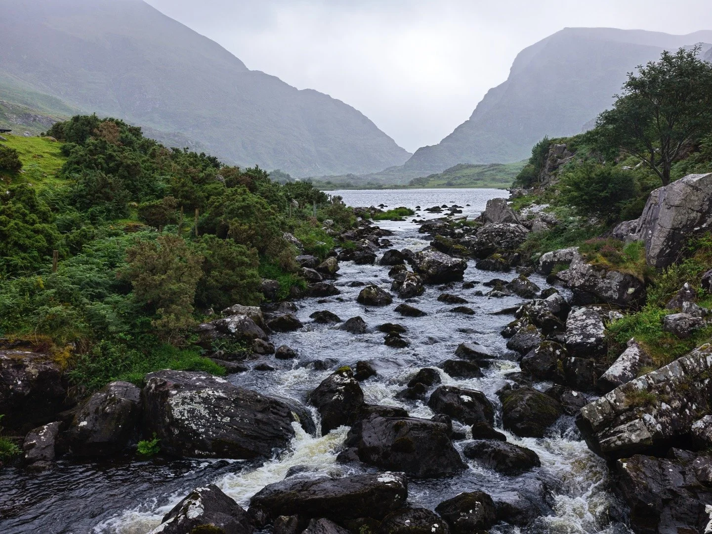 2025_Ireland_0297.jpg