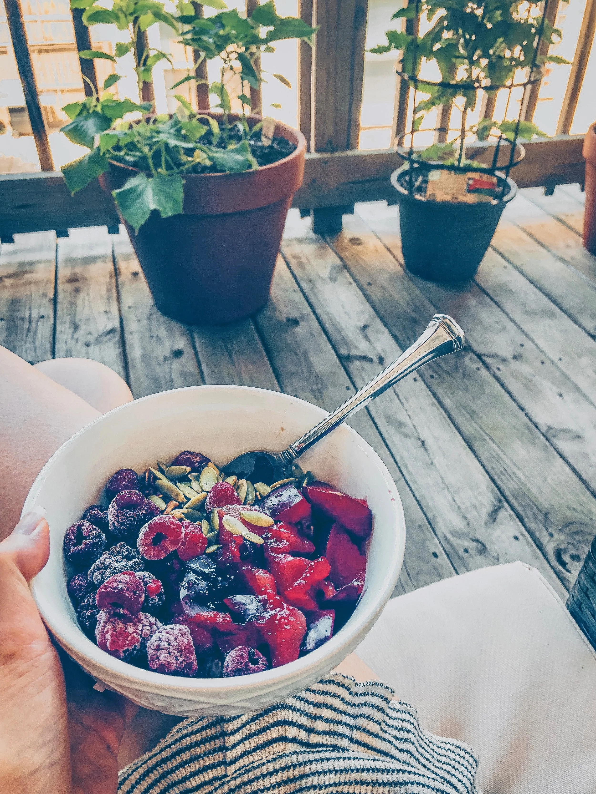 Chocolate Vanilla Raspberry Plum Oats