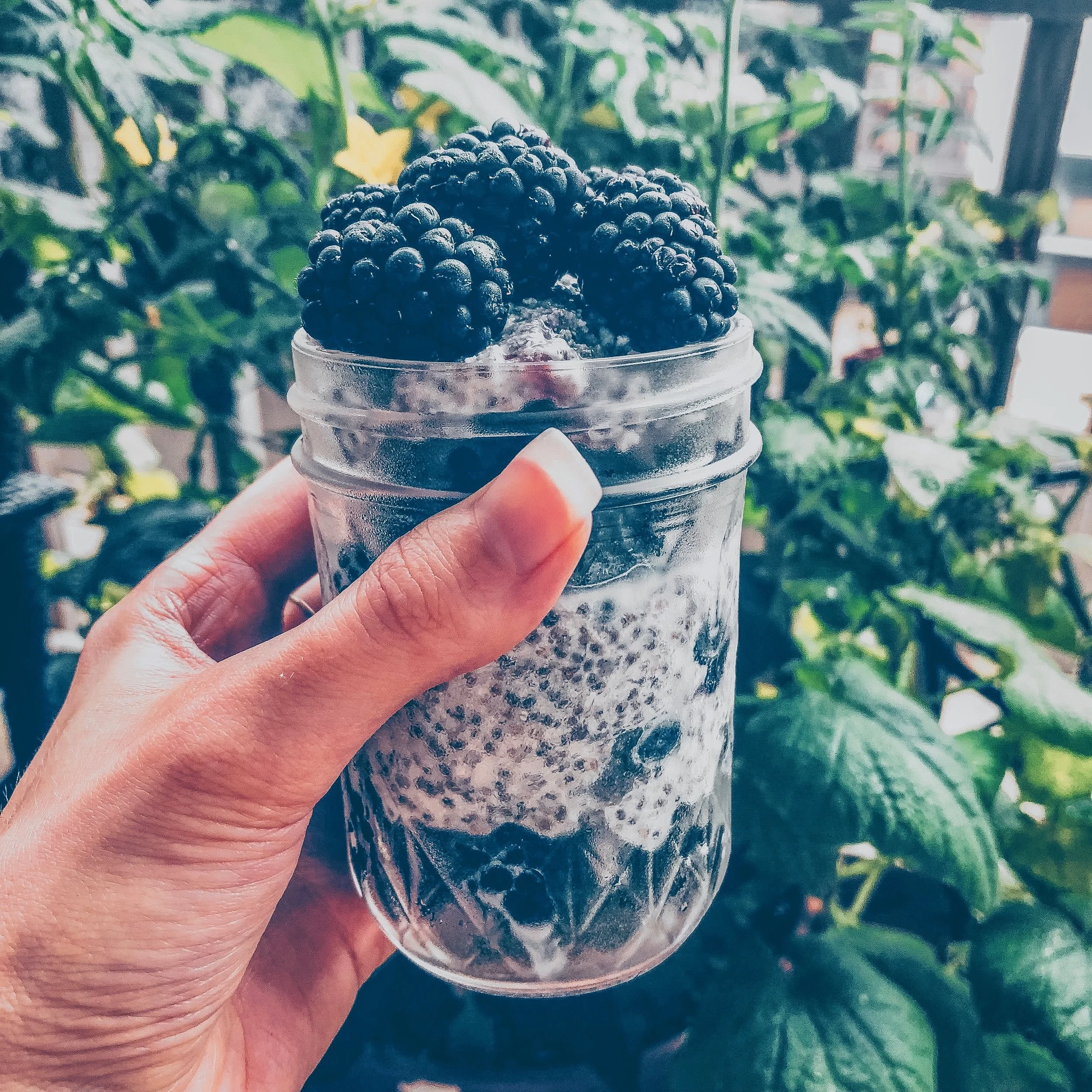 Vanilla Berry Chia Pudding