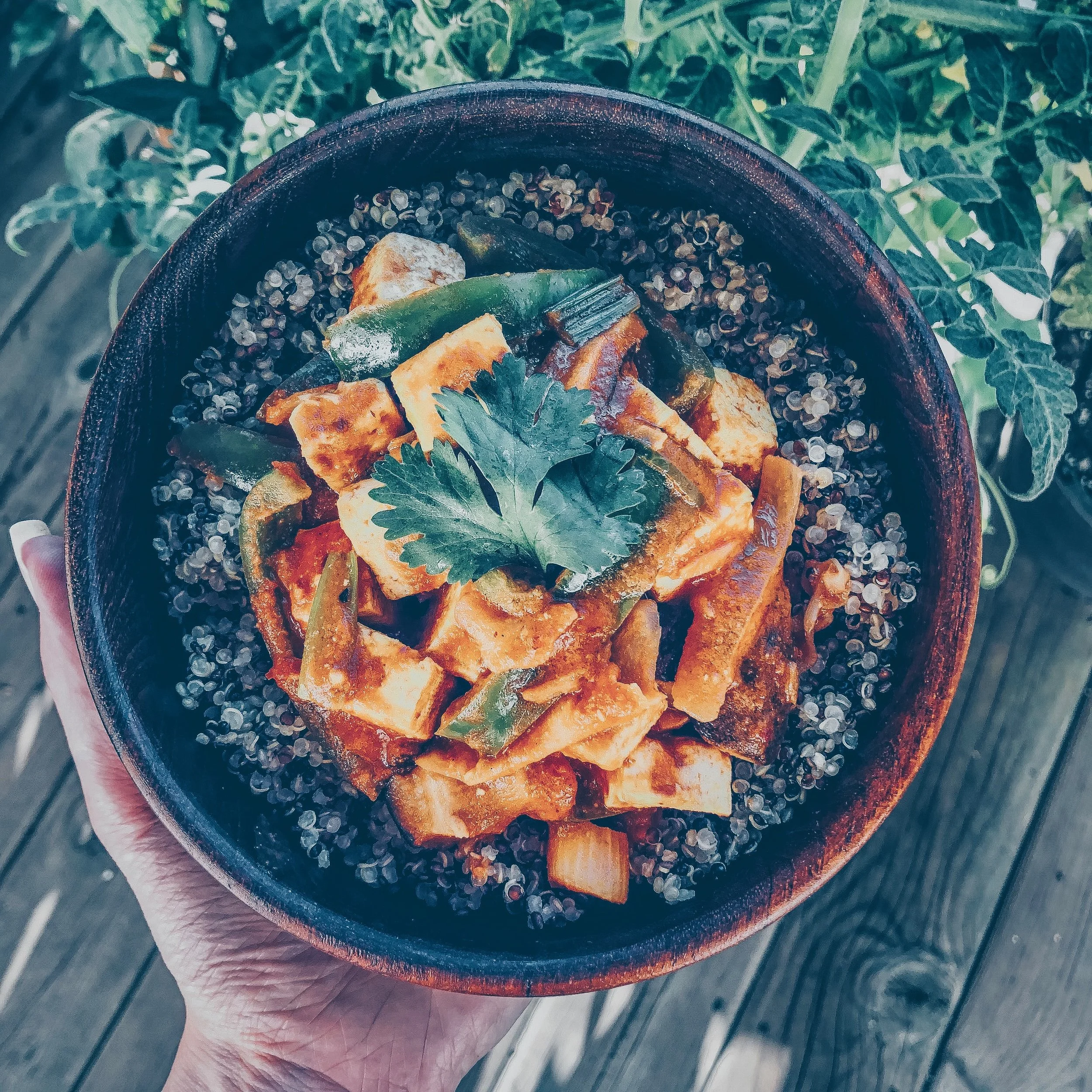 Vegan Red Coconut Curry