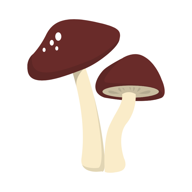 fungi:yeast.png
