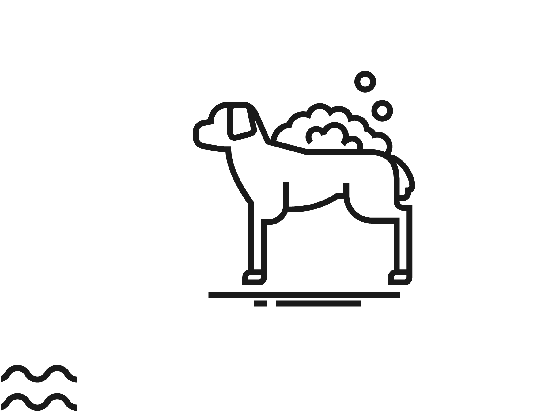dogwash 1-01-02.png