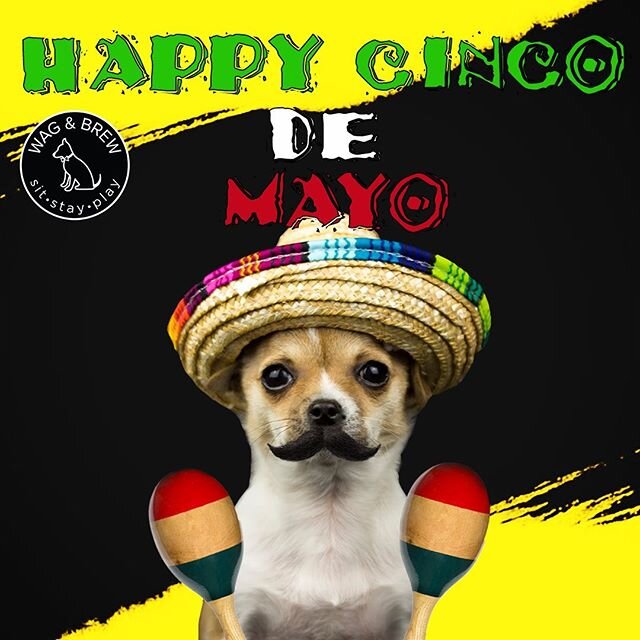 🌮🖤💛🎉HAPPY 5 DE MAYO WAGANDBREWERS!🌮🖤💛🎉
Stay Home, Stay Safe, and Celebrate!
.
.
.
.
#cincodemayo #cincodemayo2020 #tacos #margaritas #cerveza #happymay5th #cincodedrinko #saturday #saturdays #memories #vibes #party #instamood #may5th #dogsofi