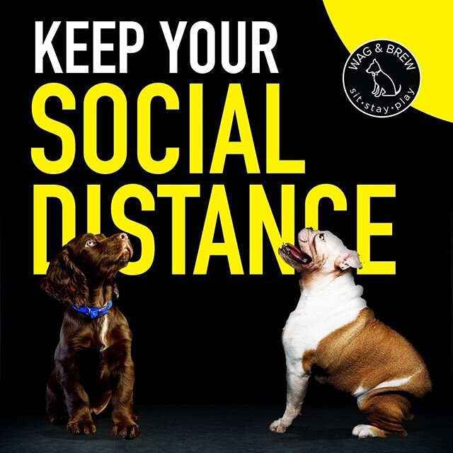 ☝️SPEAKING OF...&rdquo;Social distancing&rdquo; means keeping a safe distance (approximately 6 feet) from others and avoiding gathering spaces such as schools, churches, concert halls and public transportation.
💛🖤Let&rsquo;s help each other!!🖤💛
.