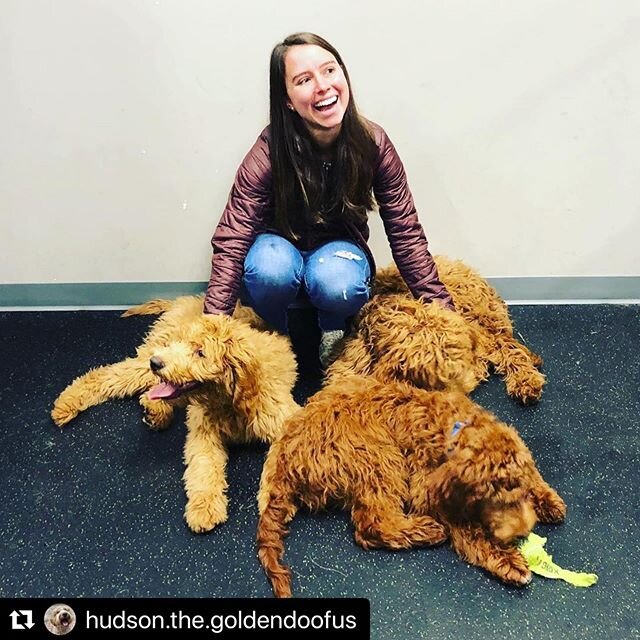 #Repost @hudson.the.goldendoofus ・・・
Mom in doodle heaven