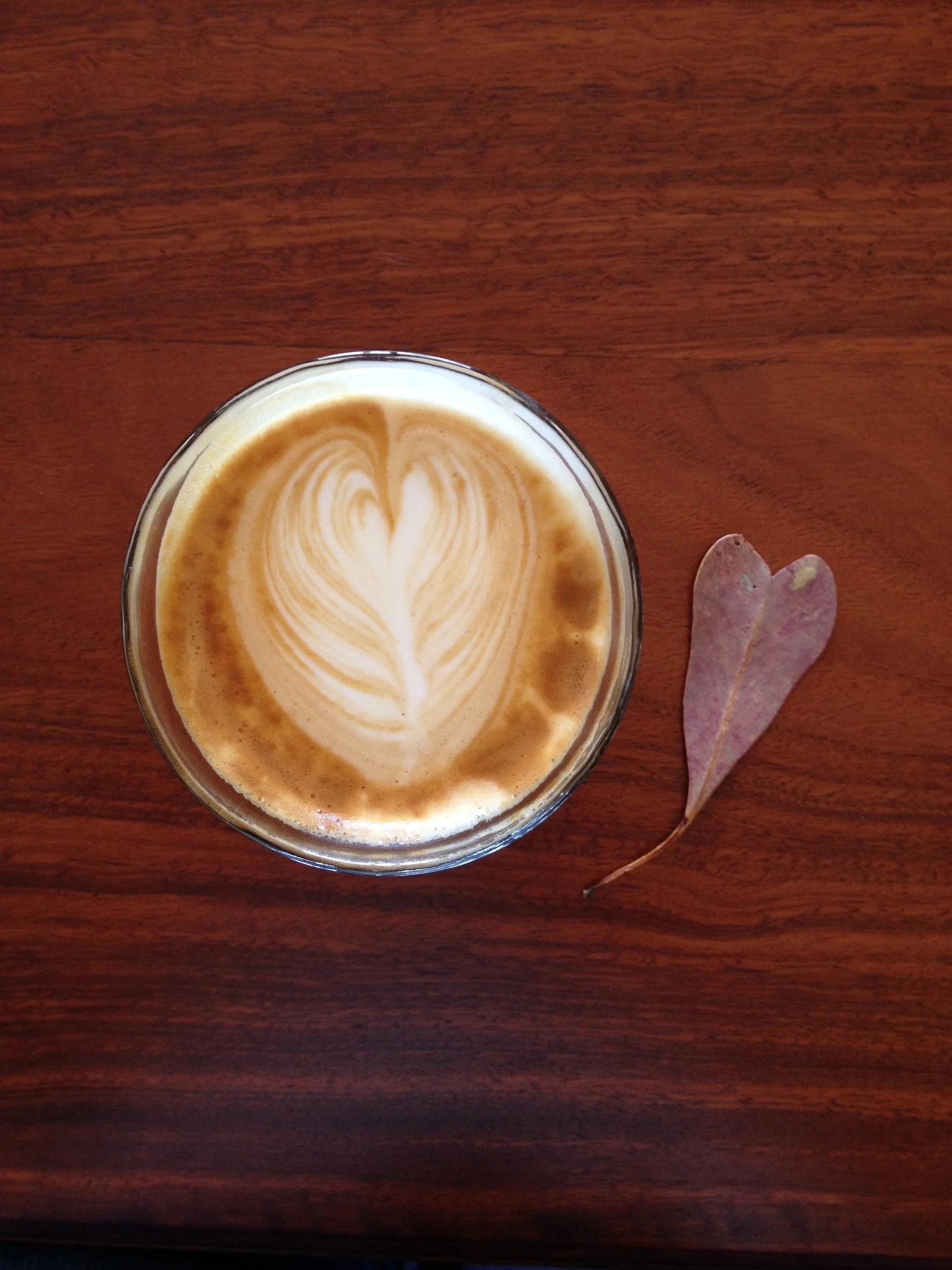 Costa Rica Latte Fresh Roasted Coffee Beans Bunbury WA
