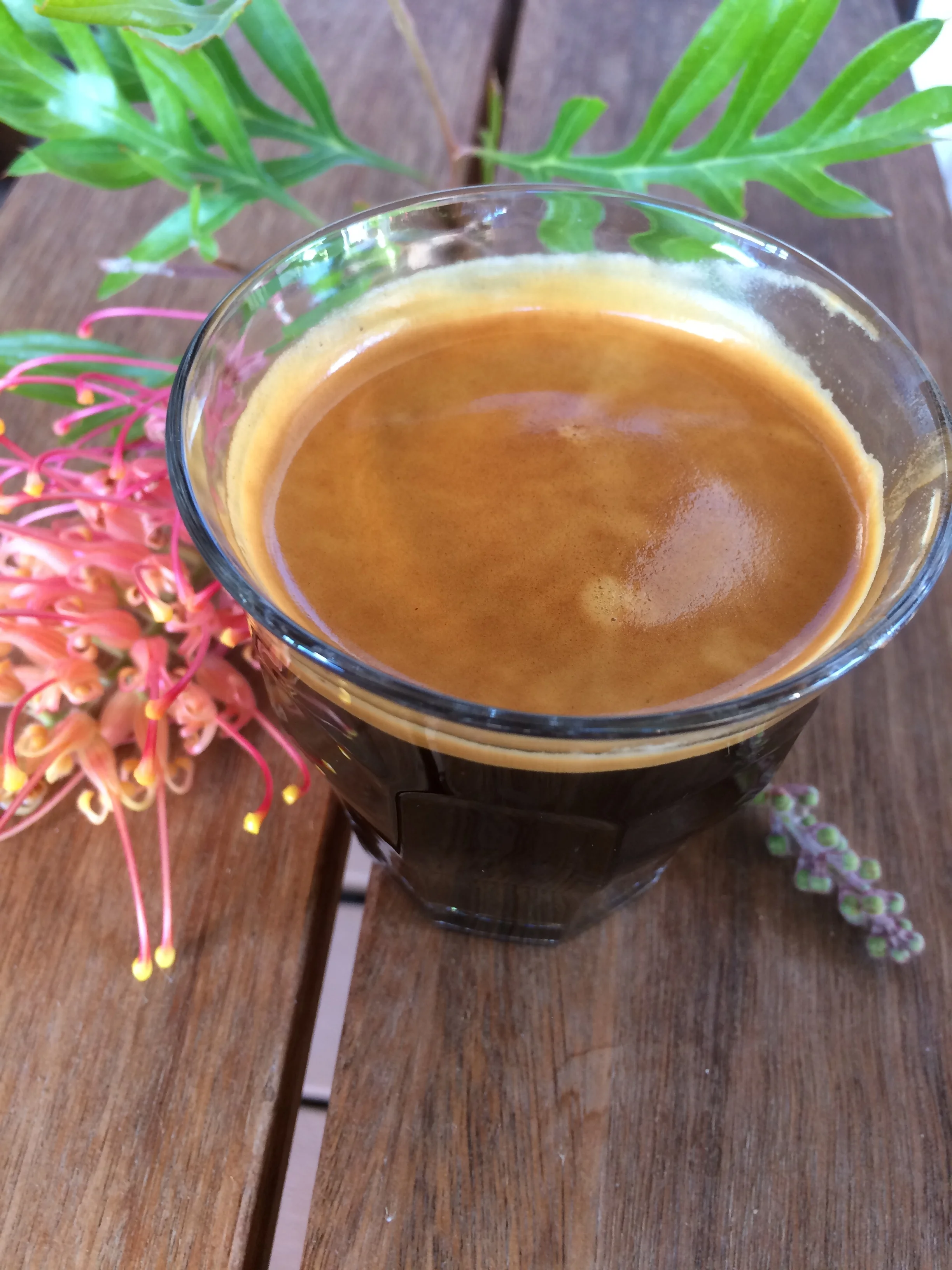 Colombia La Herrera Coffee in glass, Fresh Roasted Coffee Beans Bunbury WA