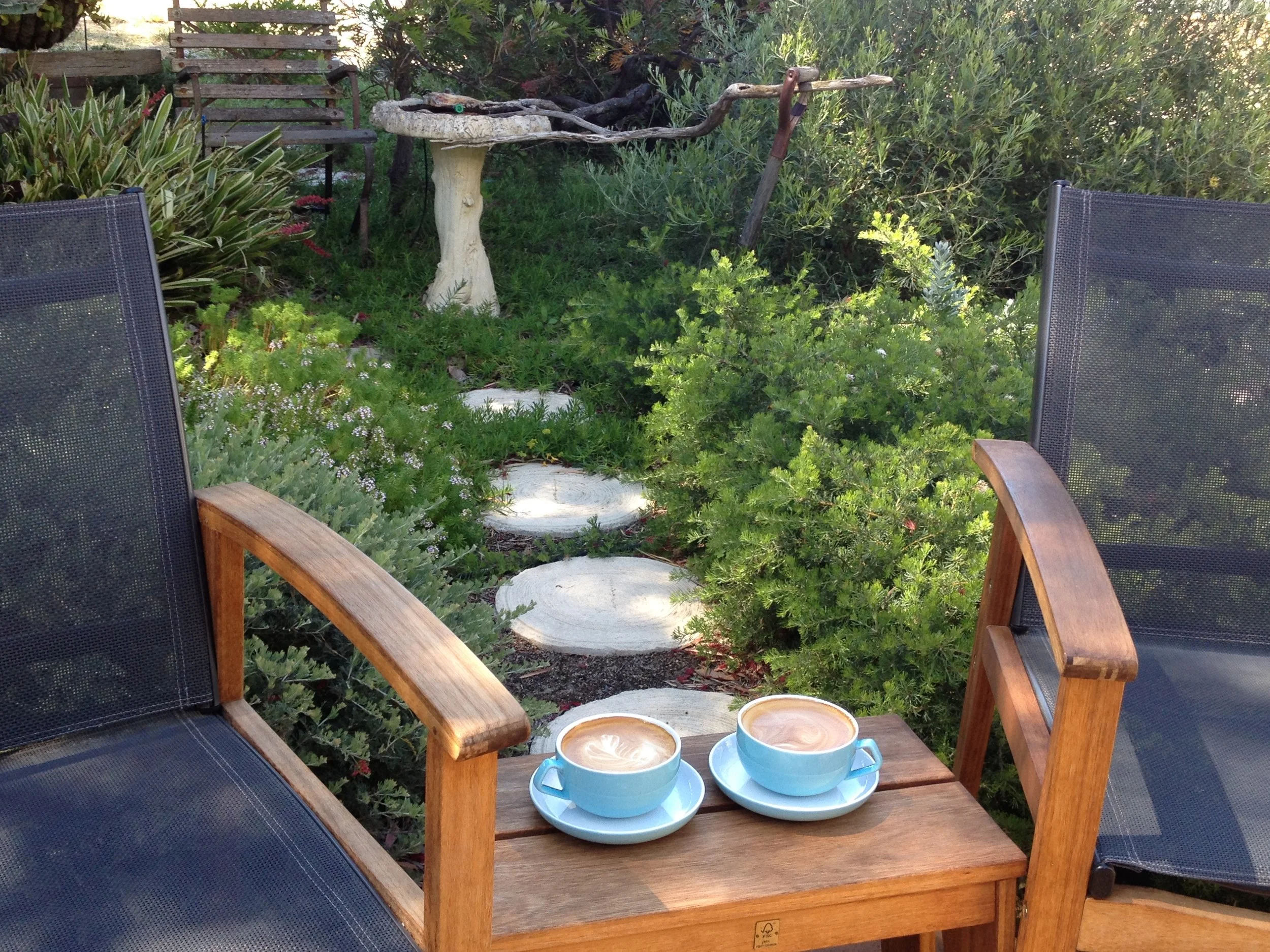 Lattes in Garden Setting, Fresh Roasted Coffee Beans Bunbury WA