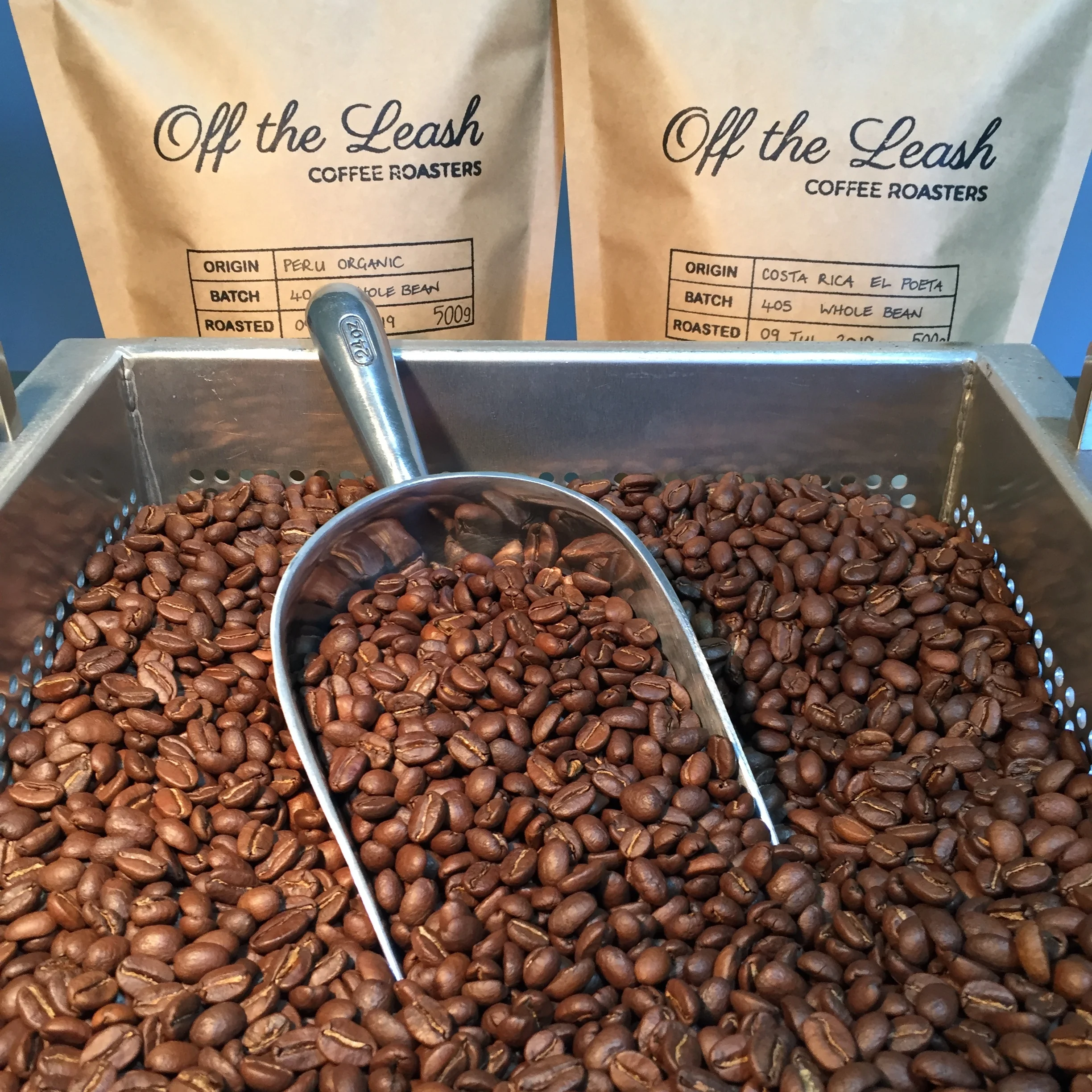 Combo Kilo Fresh Roasted Coffee Beans Bunbury WA