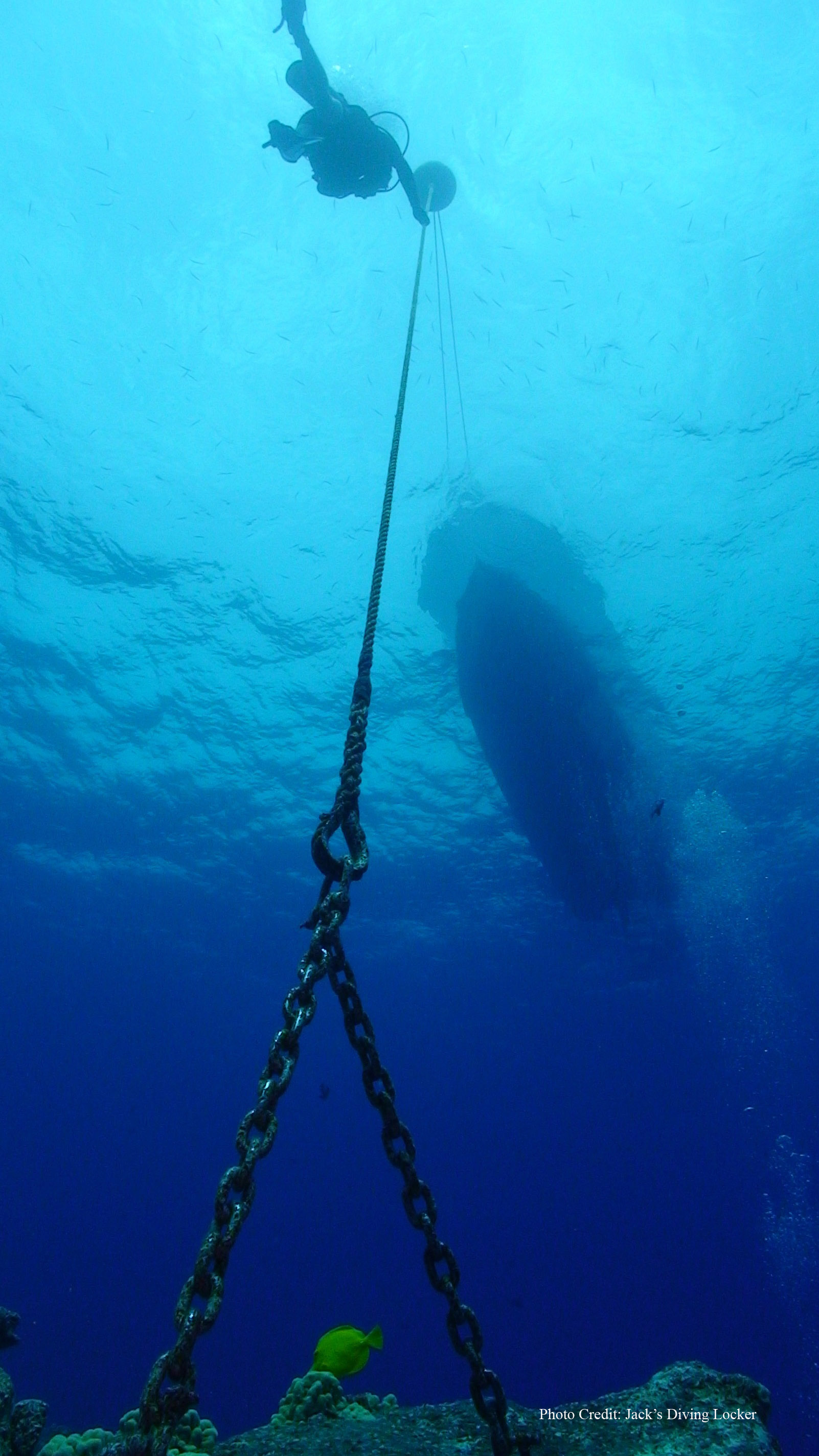 Diver  Mooring7 - With Credit.jpg