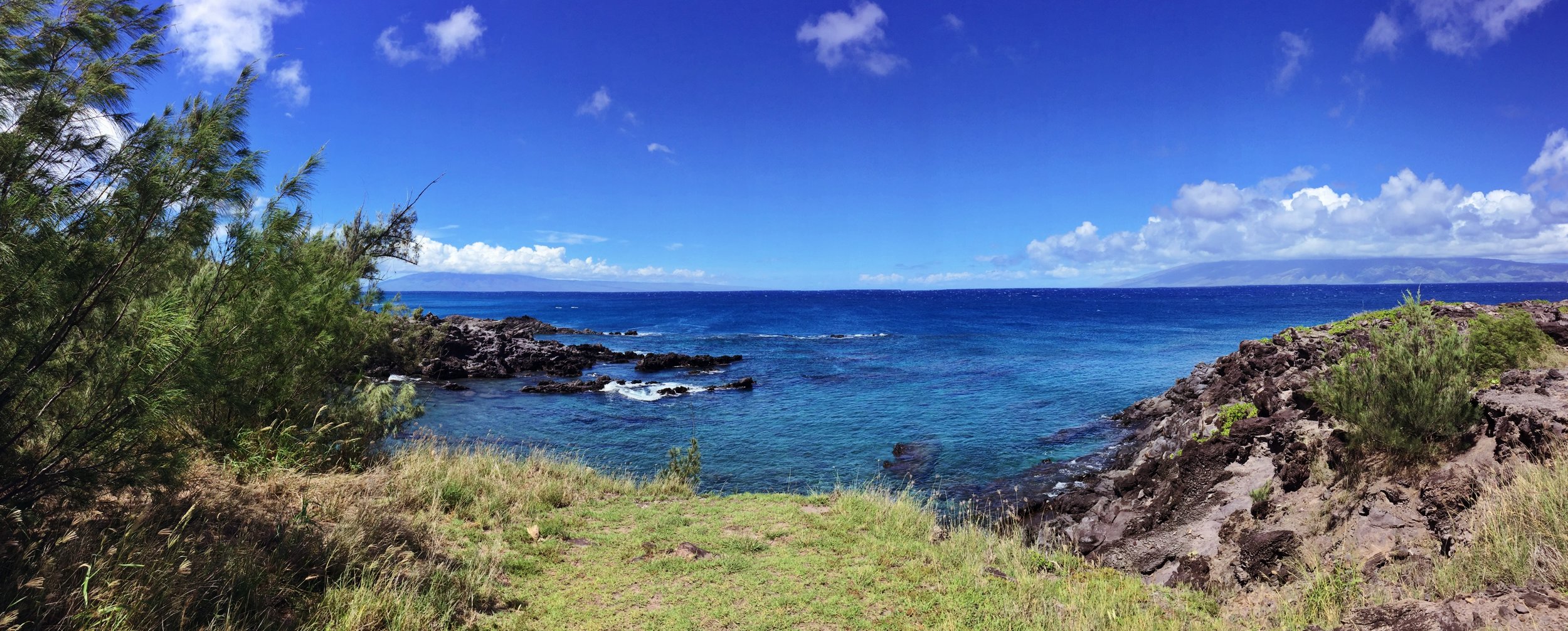 Kapalua-Maui-MalamaKaiFoundation.jpeg
