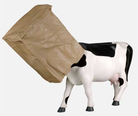 Cow Hide. Photo credit: Cow Parade .