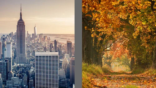 EP 36: Are you a city or a country person?