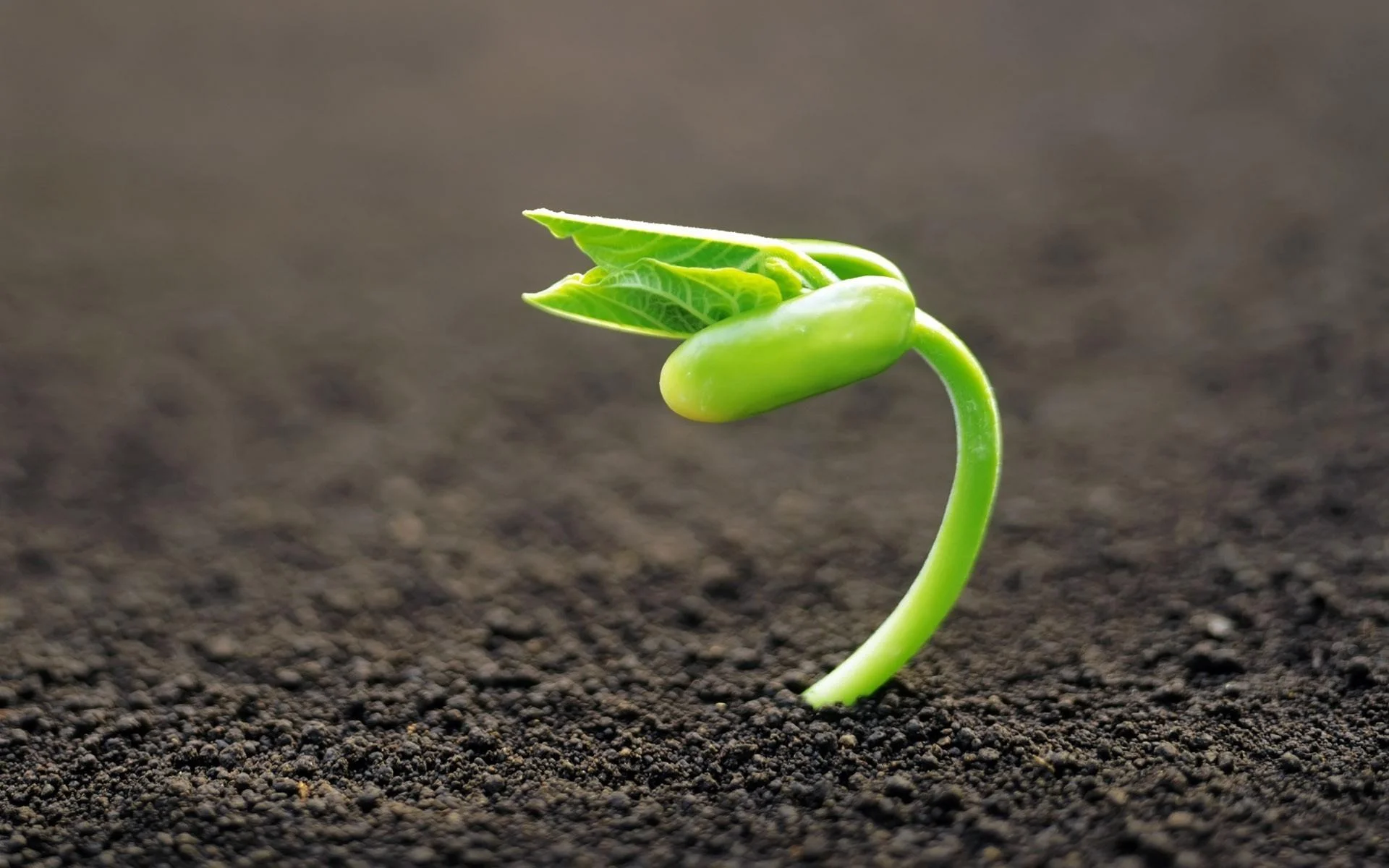EP 80: Systems For Starting A Project