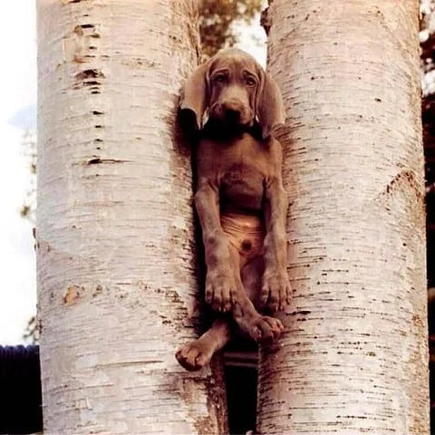 EP 91: Getting Unstuck In Your Process