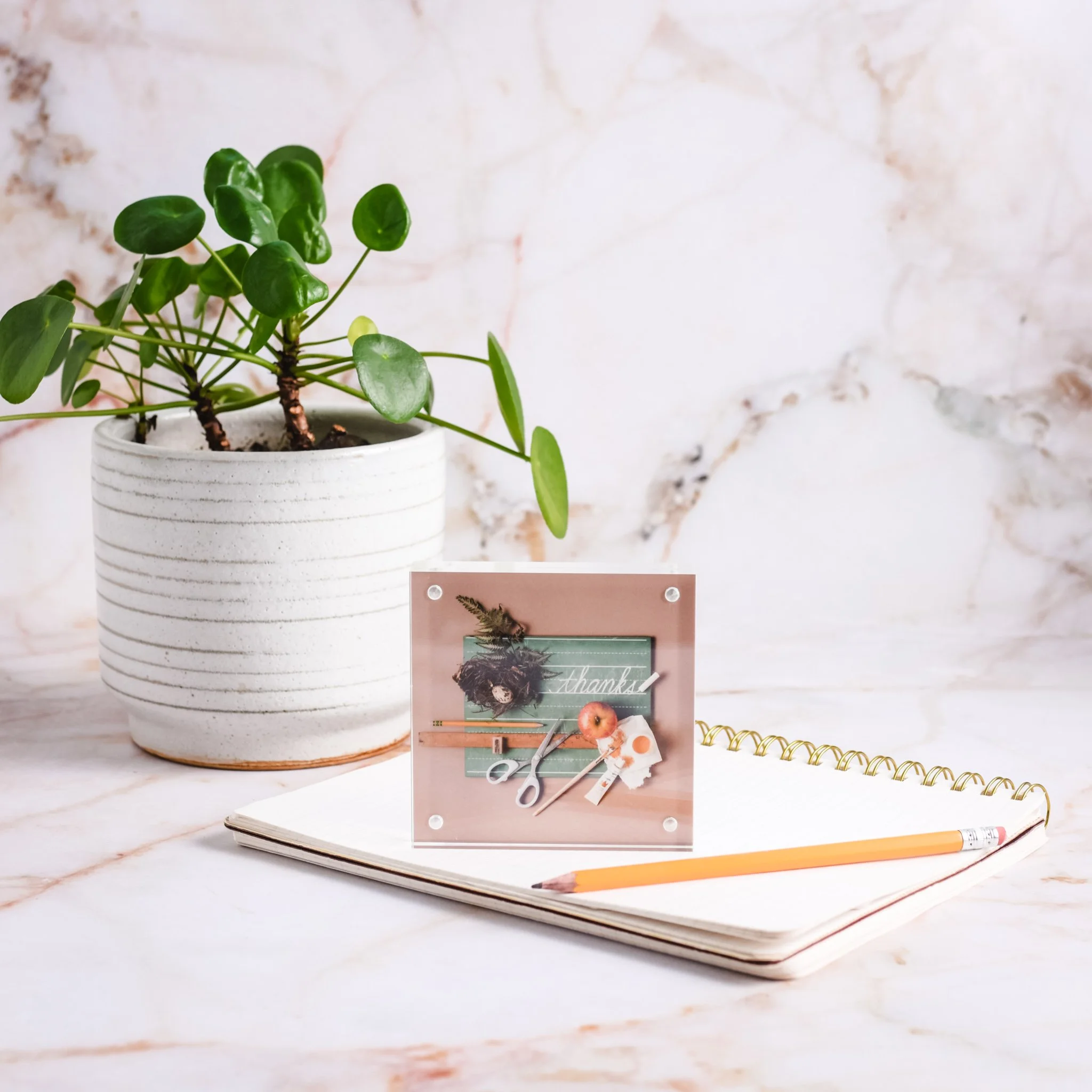 acrylics marketing-9.jpg