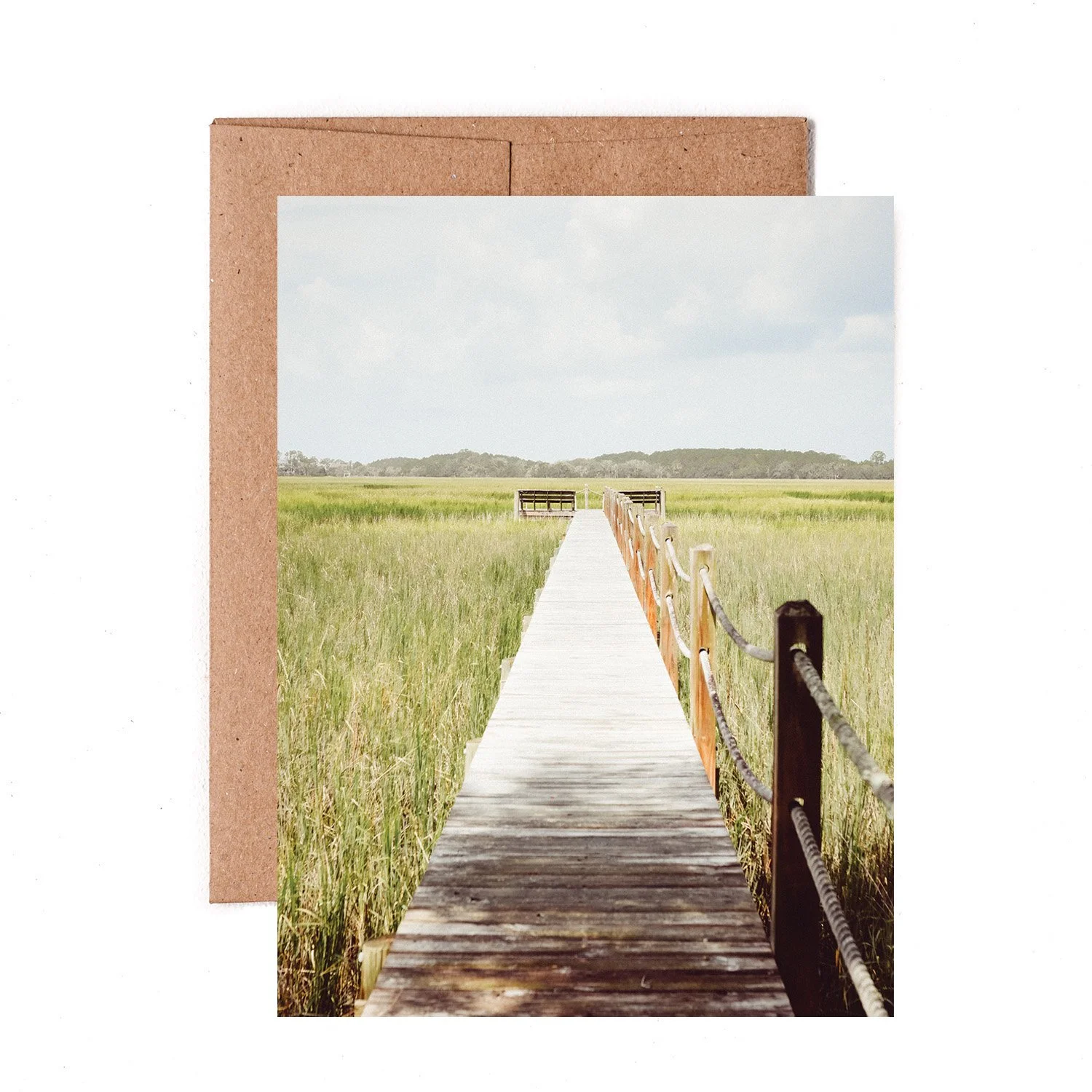 Carolina Marsh