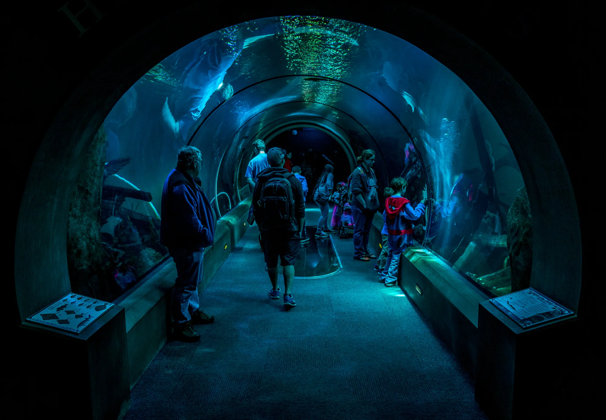 "Tunnel" - Oregon Coast Aquarium