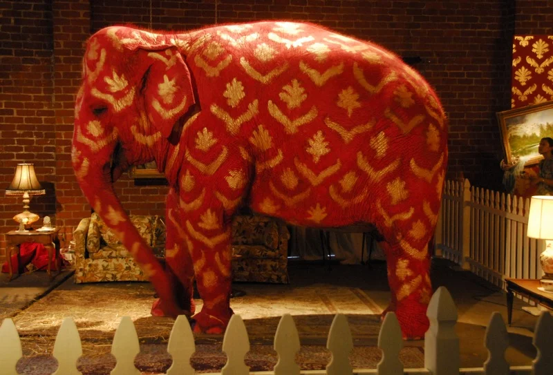 The Elephant in the Room by Banksy (from wiki)