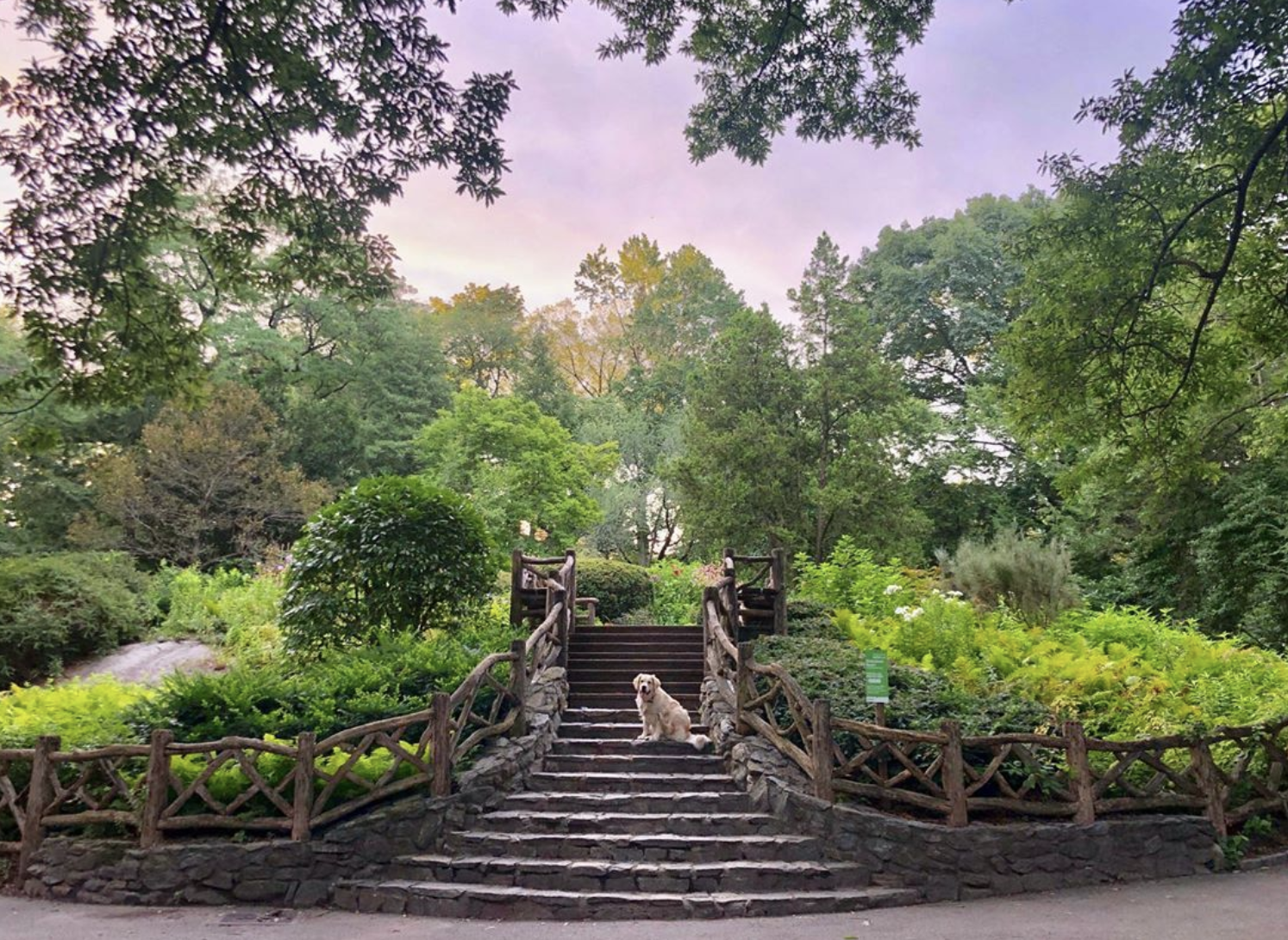 PHOTO VIA: @lola_p_adventures .