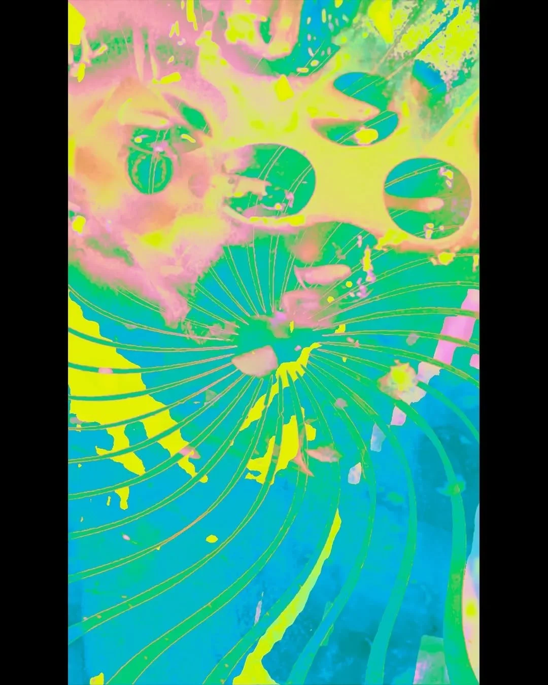 463220503_508410515344330_6361685239855197216_n.webp