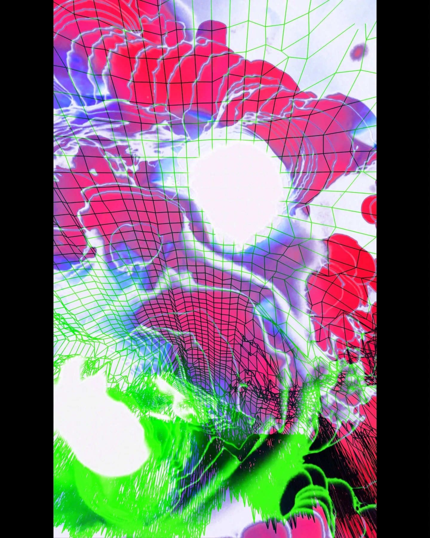 485701939_18468233989071909_148478957991083802_n.jpg