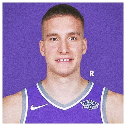 Bogdan Bogdanovic, Rook.