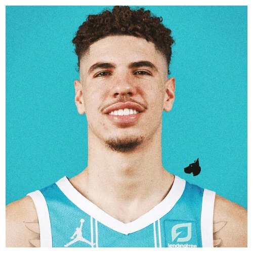CHA Hornets