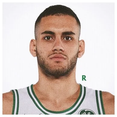 Player Card: "Rook"