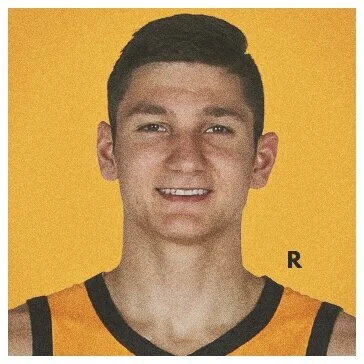 Player Card: "Rook"