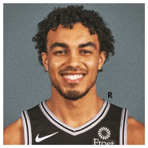 Player Card: "Rook"