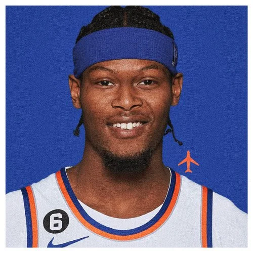 Player Card: "Knicks"