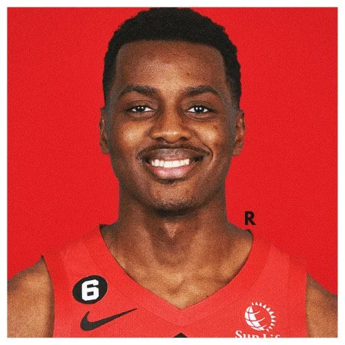 Player Card: "Rook"