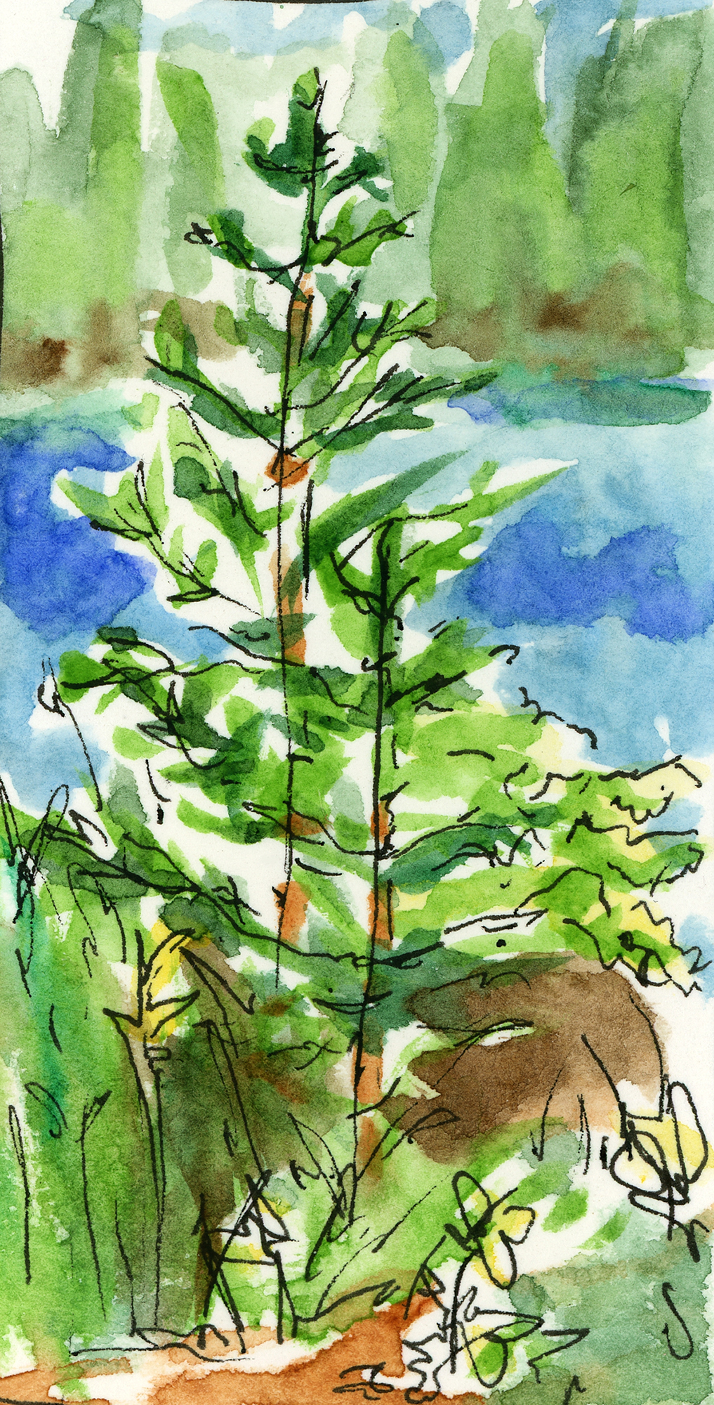 Tree Thumbnail