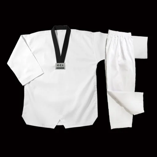 Reg_TKD2.jpg