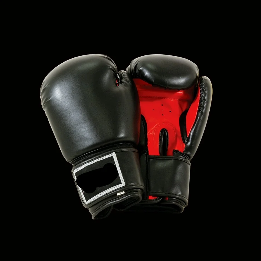 Boxing Gloves With Free Hand Wraps — NORTHERN MARTIAL ARTS SUPPLY