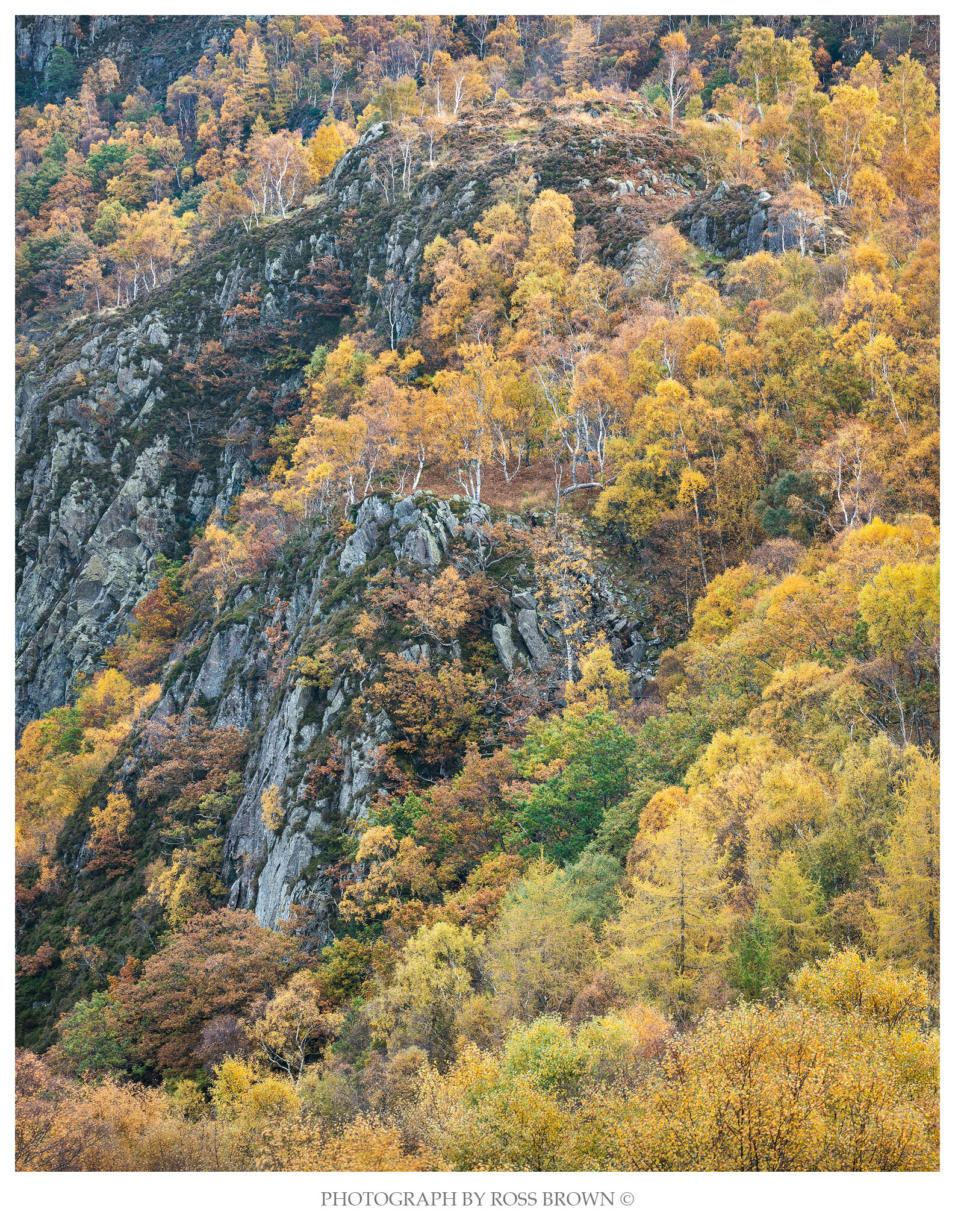 Borrowdale Autumn copy.jpg