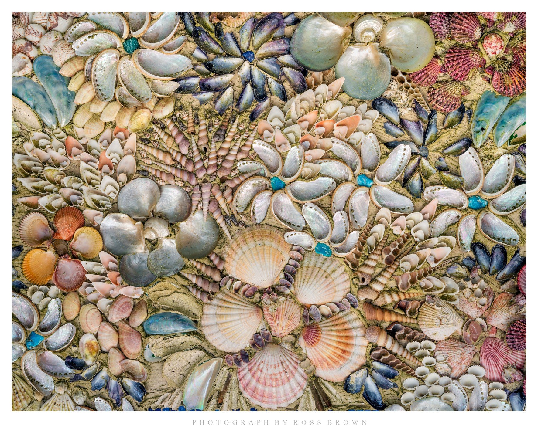 Shell House wall detail, Tresco, Scilly Isles, August 2024

#nature #naturephotography #landscapephotography #natgeohub #natgeowild #natgeolandscape #JustGoShoot #InstaGood #InstaPhoto #PicOfTheDay #PhotoOfTheDay #Photogram #Capture#PhotographyDaily 