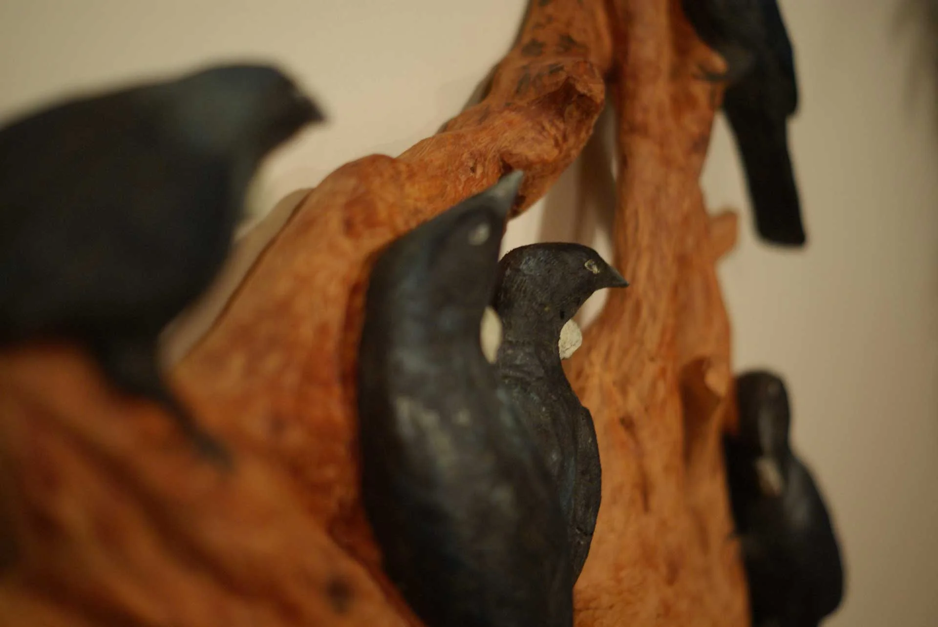 Blackbirds, Errol McKay, 2017, northern Manawatu