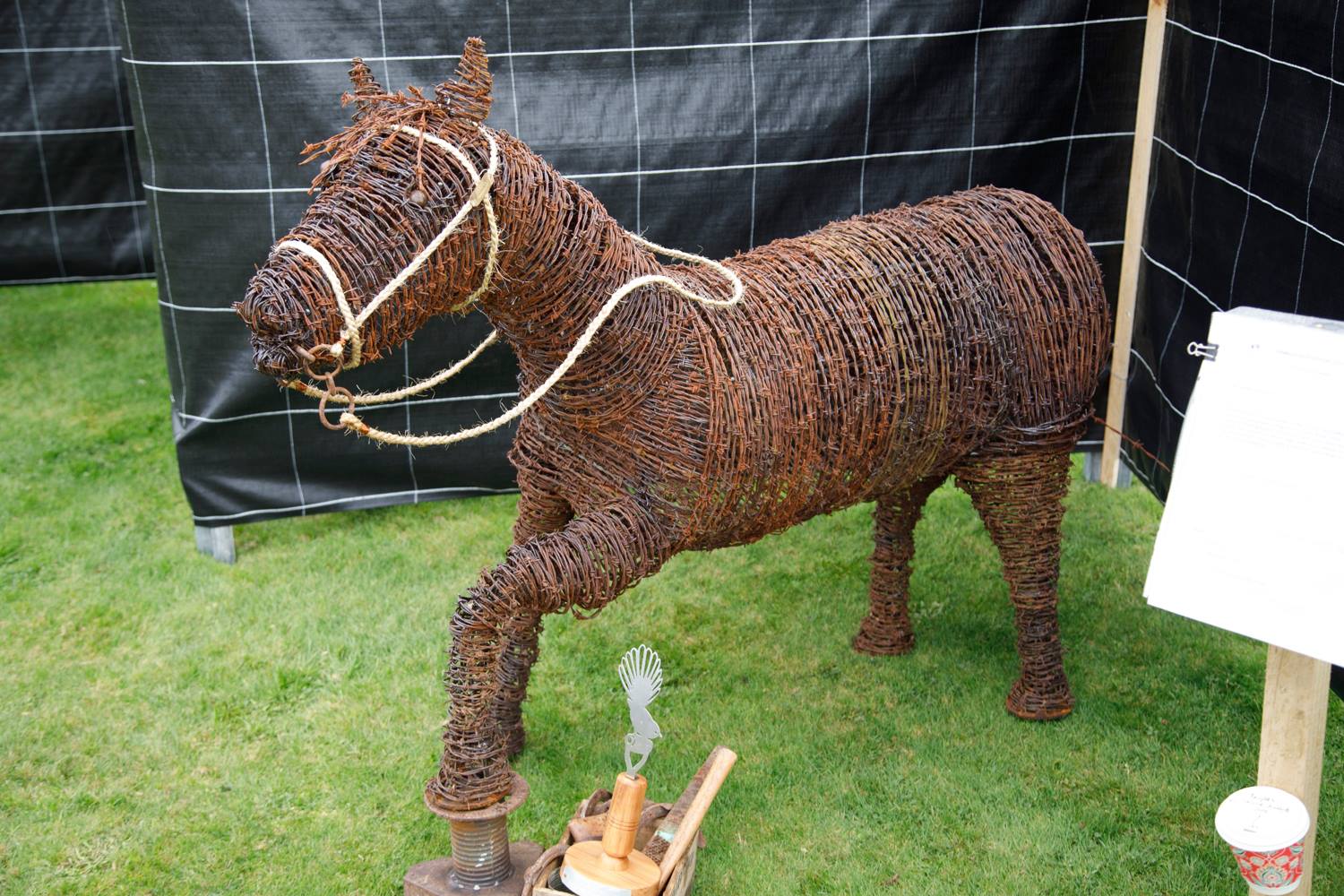 Local legend Pam Corpe