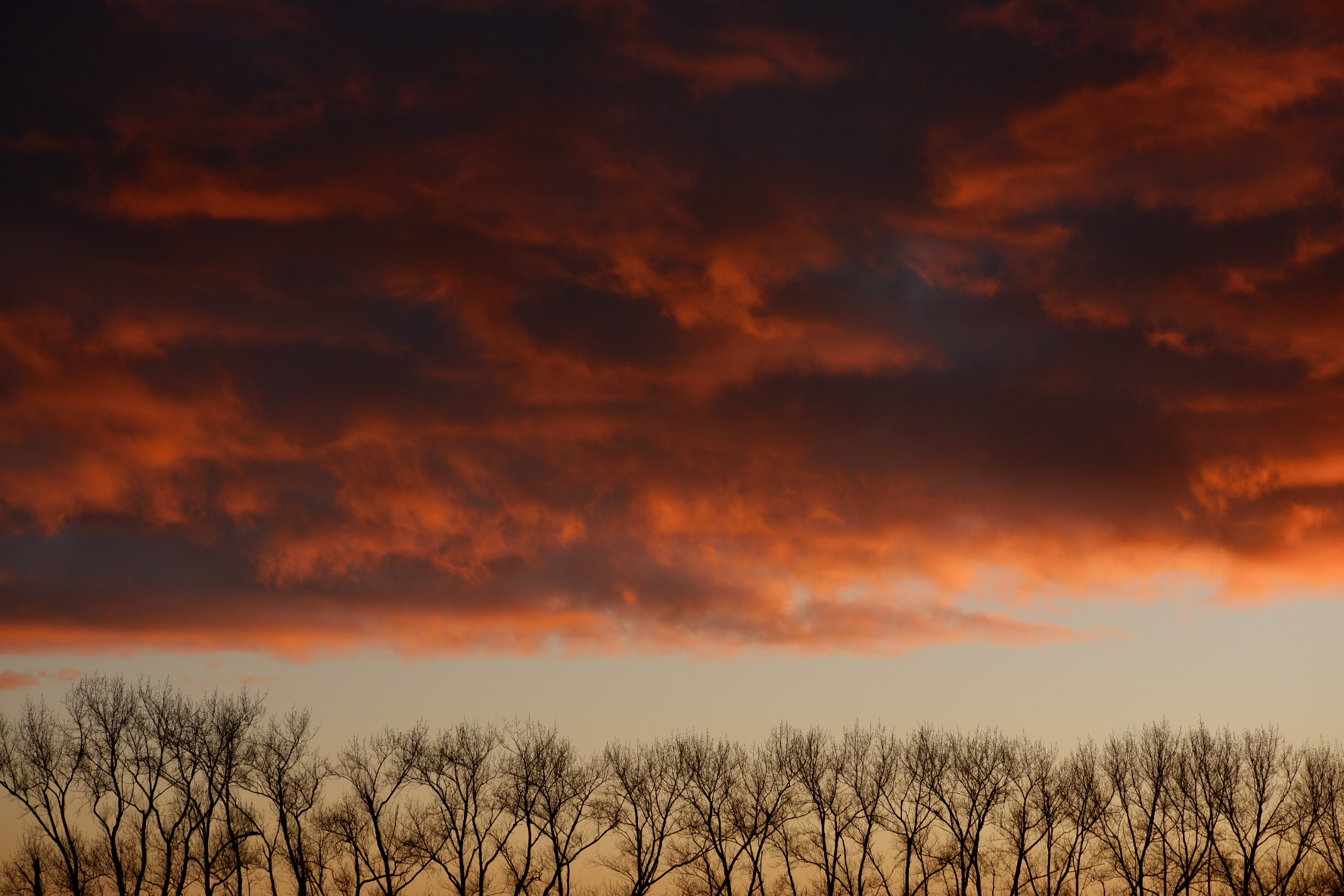 Spirit Art Exhibition 2021