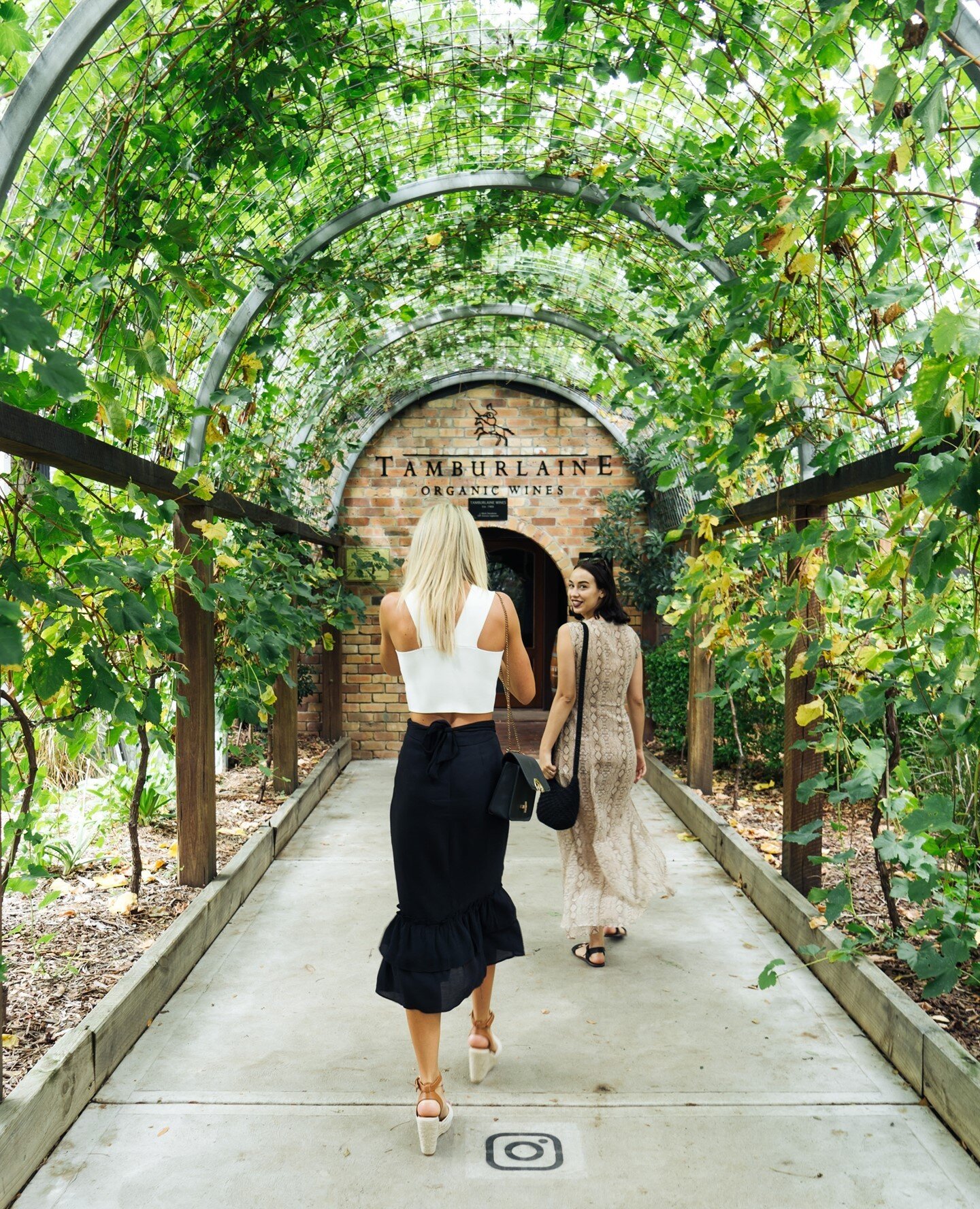 Walking into Tamburlaine like 💁🏼&zwj;♀️ ⁠
@tamburlaineorganicwines