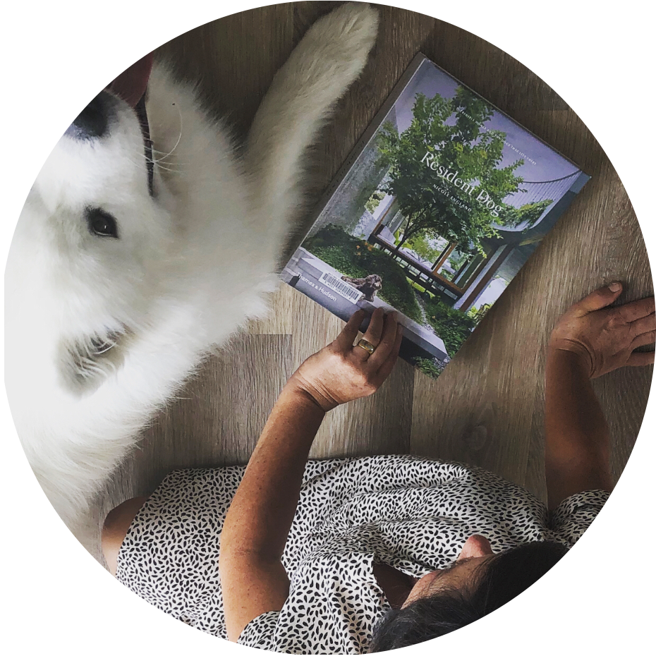 Resident Dog - Nicole England