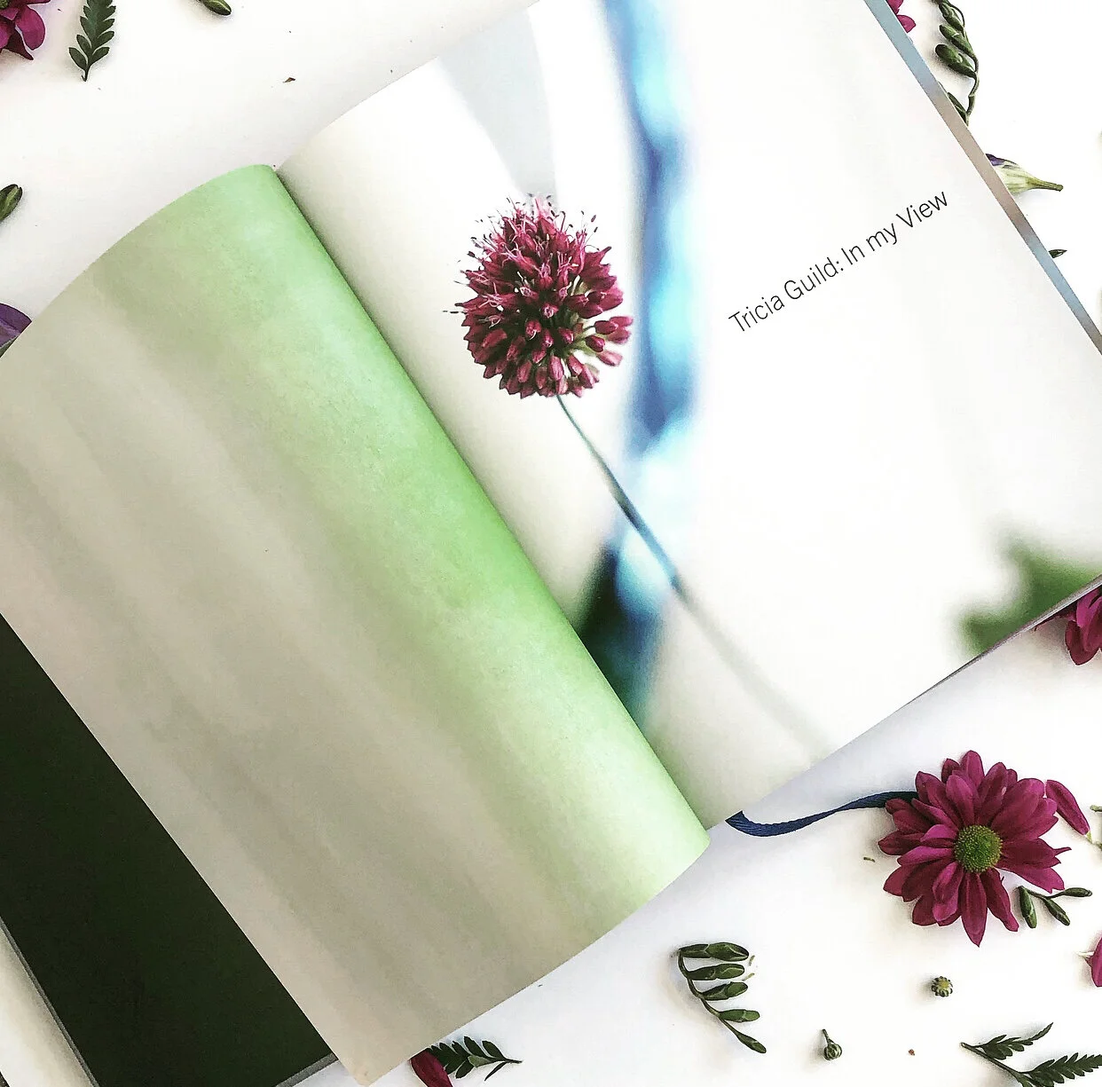 The Book Club | In My View by Tricia Guild