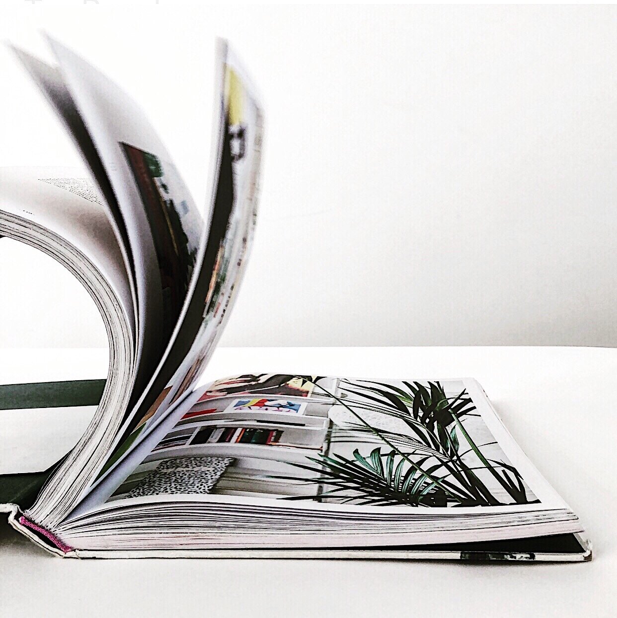 Wonderplants Book Review