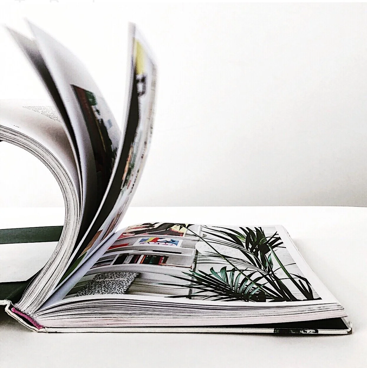 The Book Club | Wonderplants by Irene Schampaert