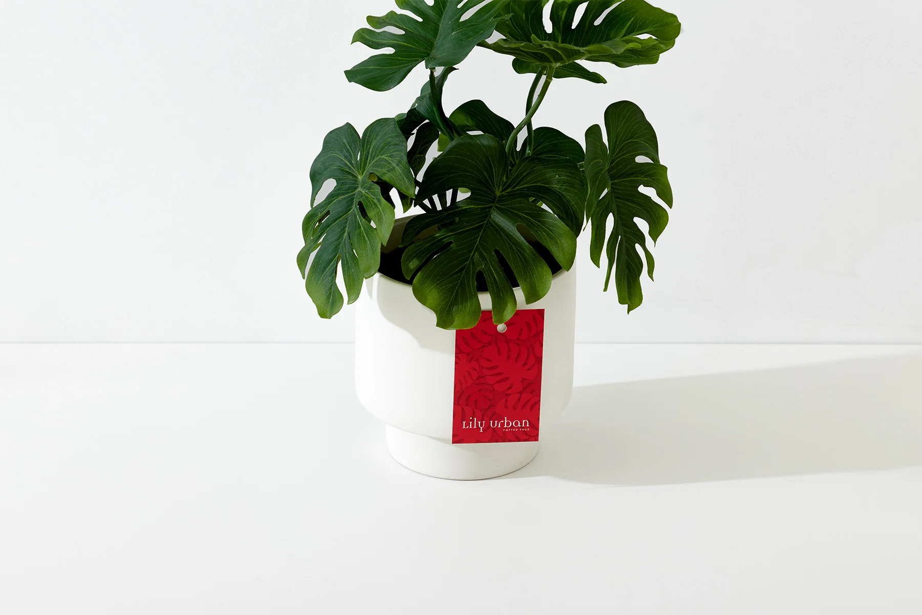 Lily-Urban-3.jpg