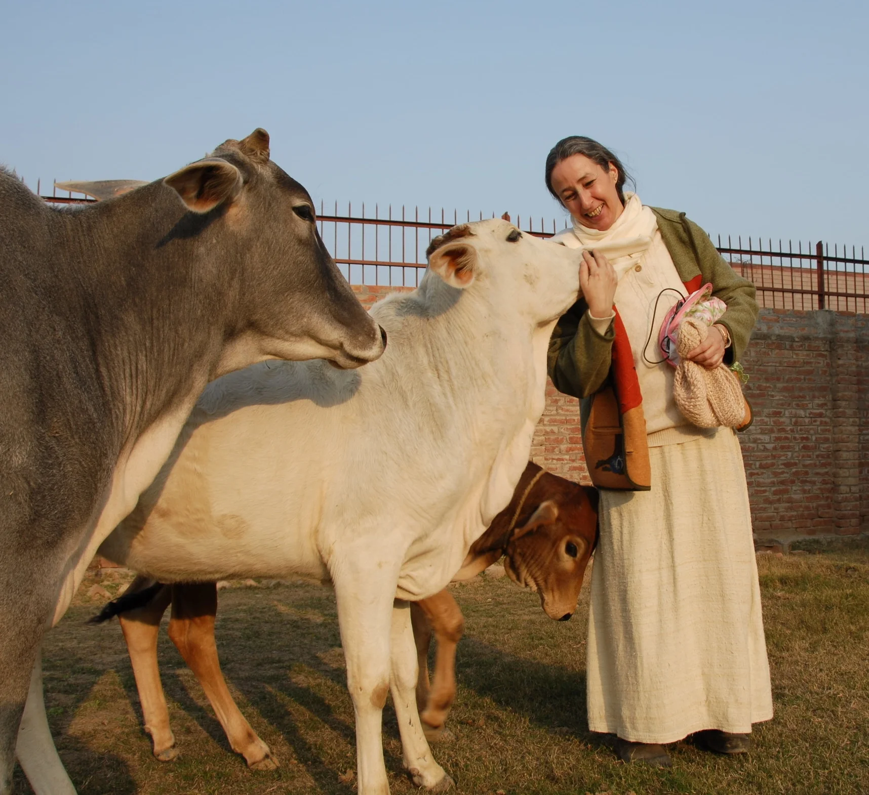 Vrindavan01.01.07MA_062.jpg