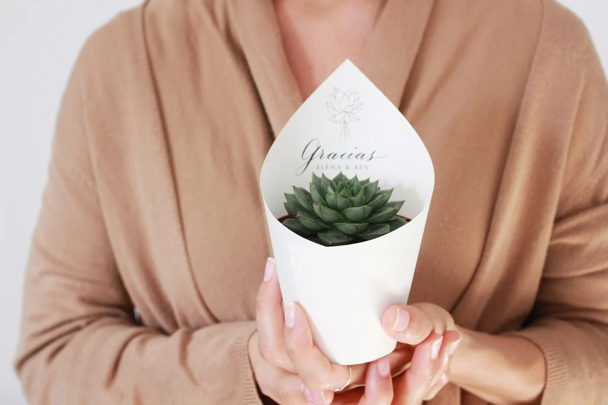 detalle-suculenta-invitados-boda_Samikay_1.jpg